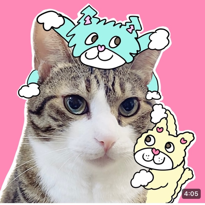 さ*