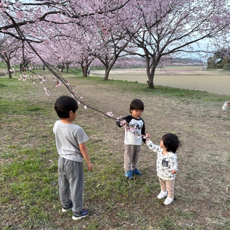 石田**
