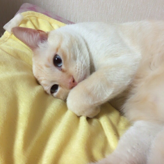 り*