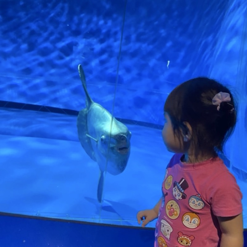 サイズ変更が出来ません。どこで変えれますか?選択済みと出てます