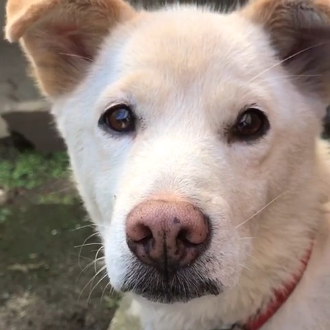 還元ポイントで猫砂は購入出来ますか?